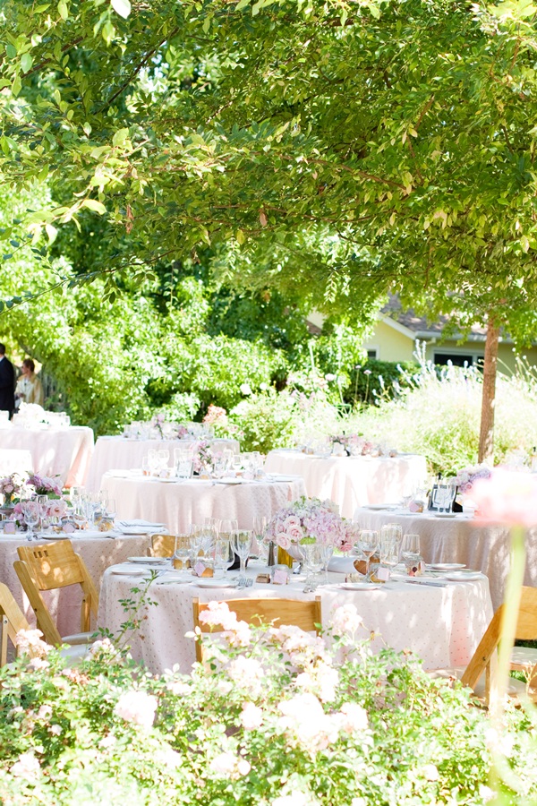 classic-vineyard-wedding-at-healdsburg