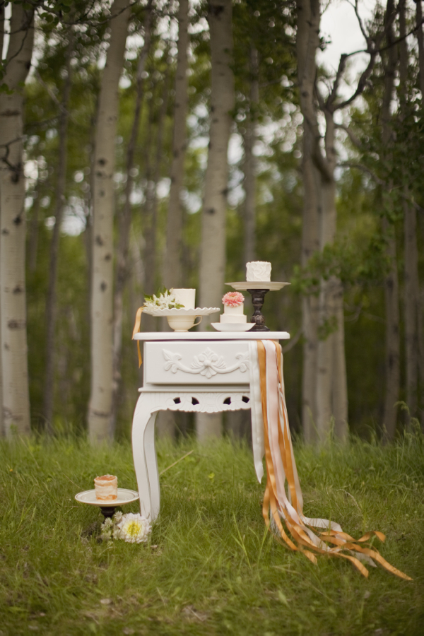 cute-will-you-be-my-bridesmaid-ideas