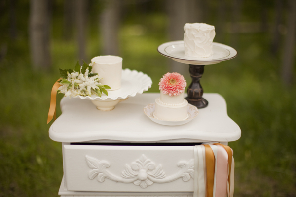 cute-will-you-be-my-bridesmaid-ideas