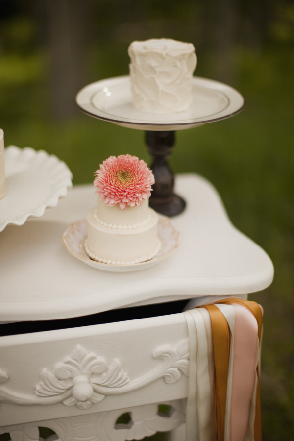 cute-will-you-be-my-bridesmaid-ideas