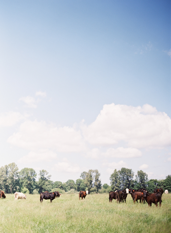 elegant-barnyard-wedding-by-erich