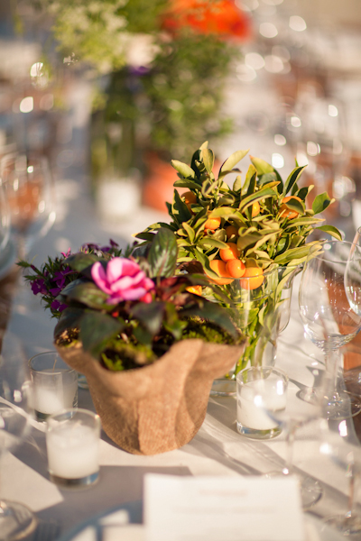 farm-to-table-wedding-at-long-meadow