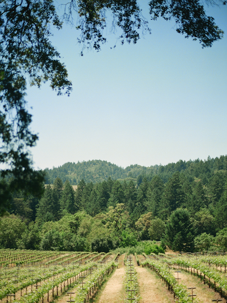 farm-to-table-wedding-at-long-meadow