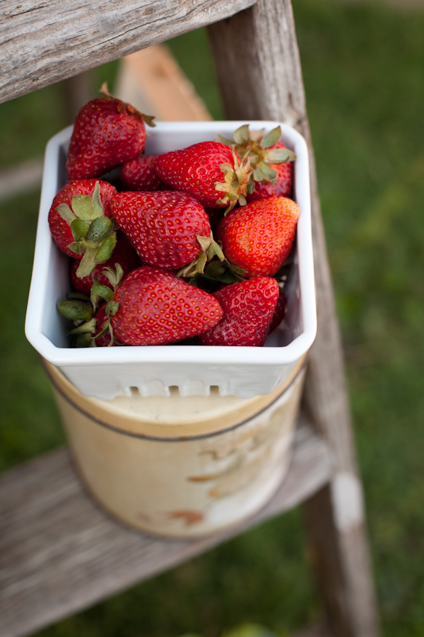 how-to-throw-a-farm-to-table