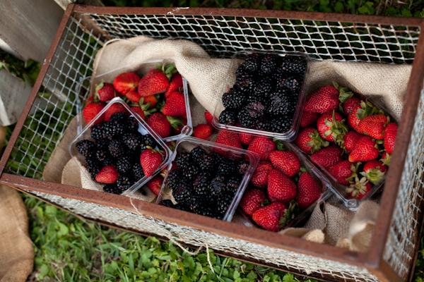 how-to-throw-a-farm-to-table