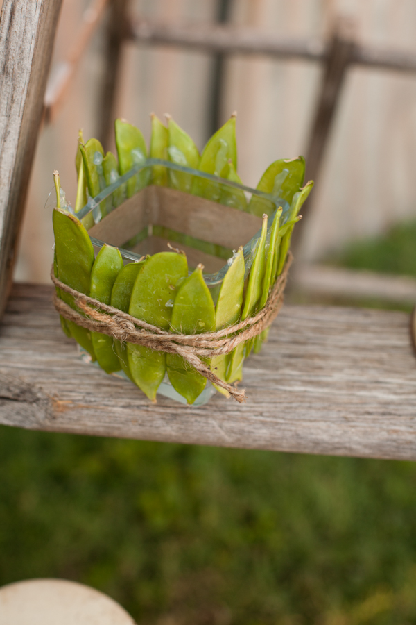 how-to-throw-a-farm-to-table