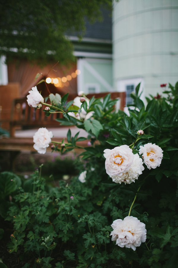 michigan-rustic-barnyard-wedding