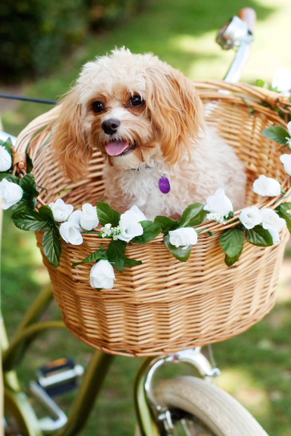 outdoor-vintage-tea-party-ideas