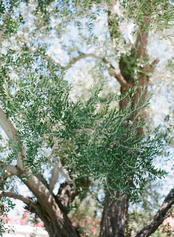palm-springs-chic-at-the-korakia