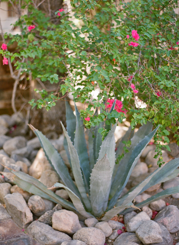 palm-springs-chic-at-the-korakia