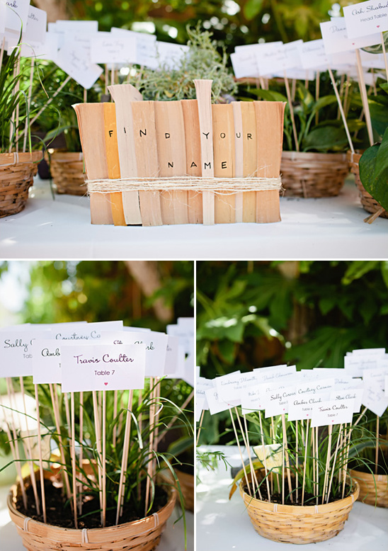 Wedding seating chart in potted plants