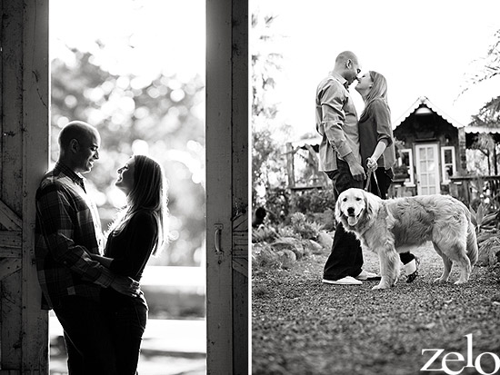 puppy-engagement-session