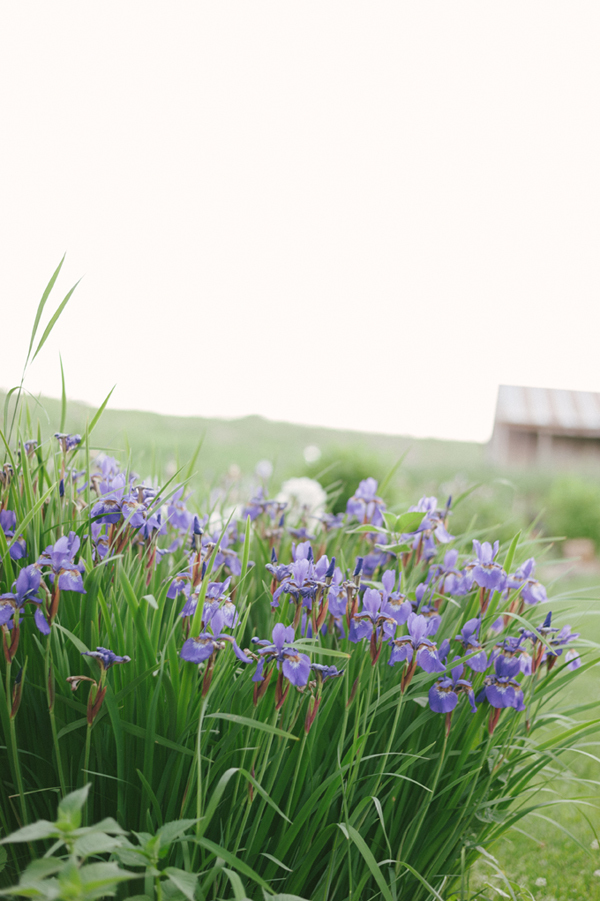 an-enchanted-barn-wedding-in