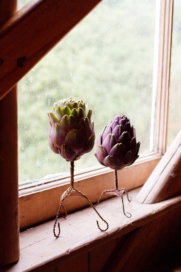 eclectic-and-eco-friendly-northern