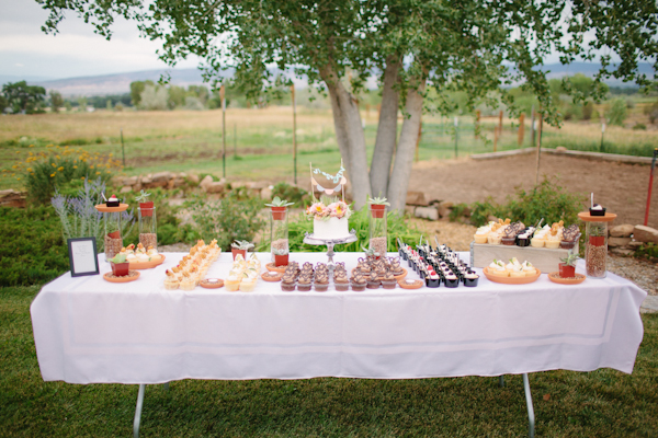 backyard-colorado-wedding-with-a