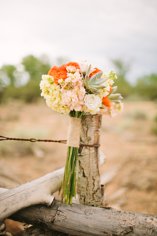 backyard-colorado-wedding-with-a