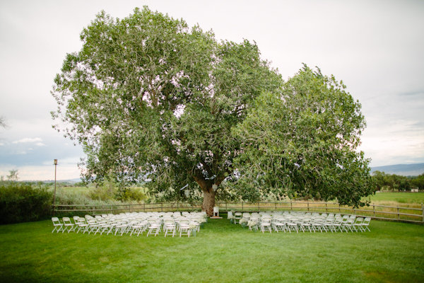 backyard-colorado-wedding-with-a