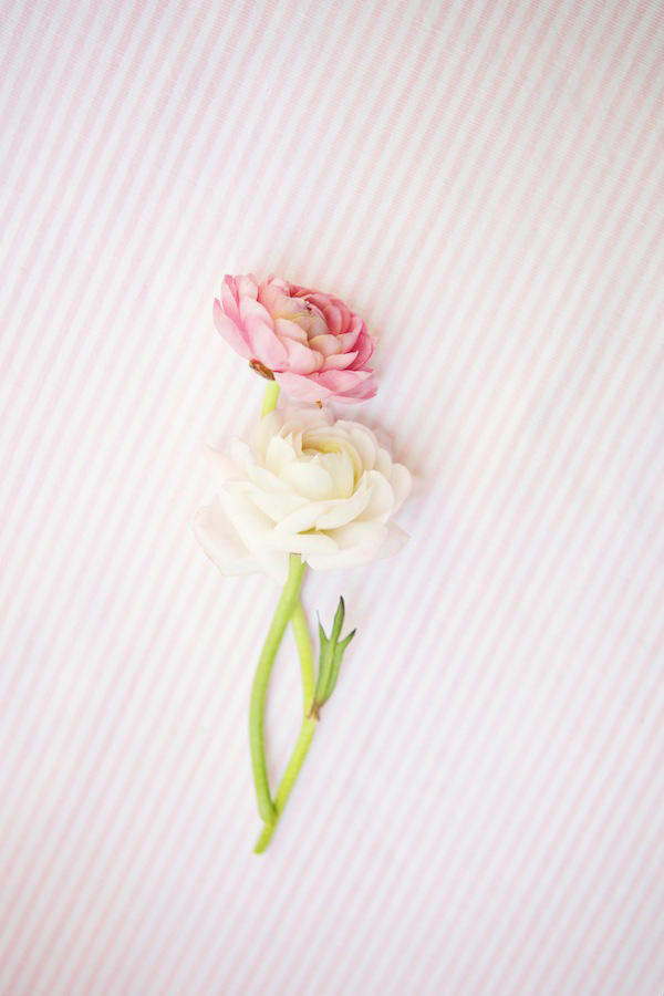 bridal-shower-brunch-ideas