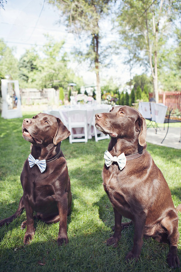 bridal-shower-brunch-ideas