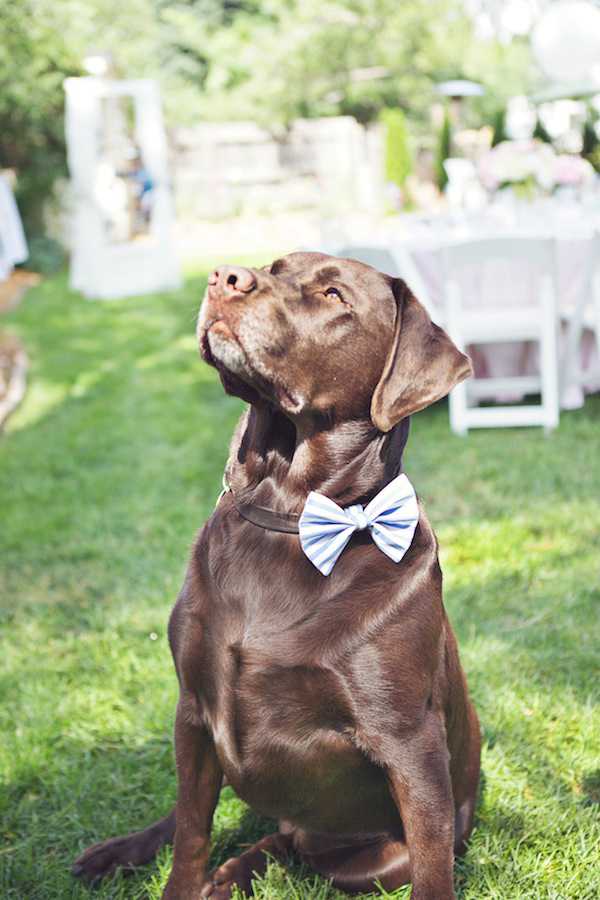bridal-shower-brunch-ideas