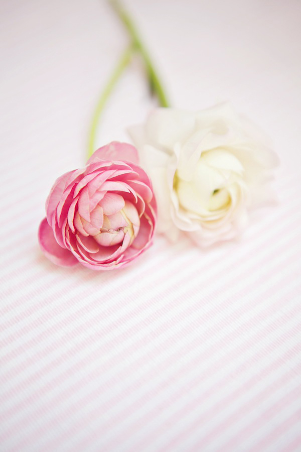 bridal-shower-brunch-ideas