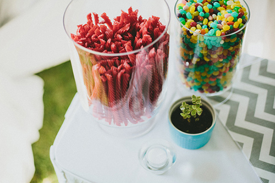 Candy buffet jars with treats and a small succulent plant