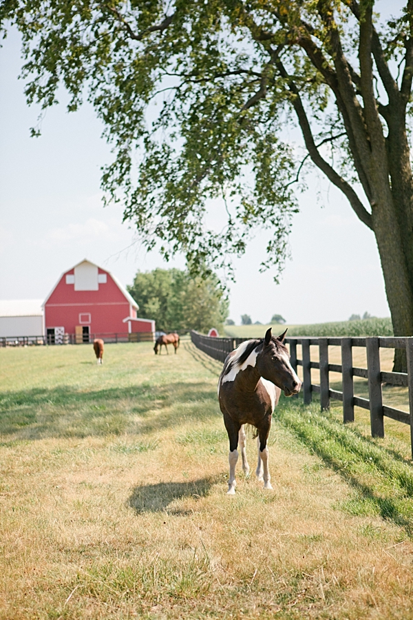 diy-rustic-wagon-wheel-wedding