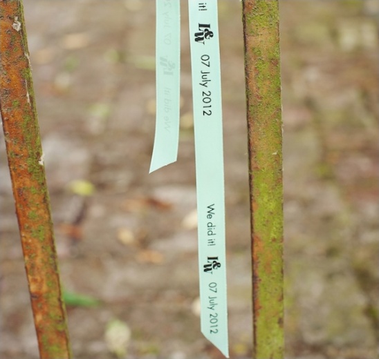 Ribbon tags on tree trunks celebrate a special July event in 2012
