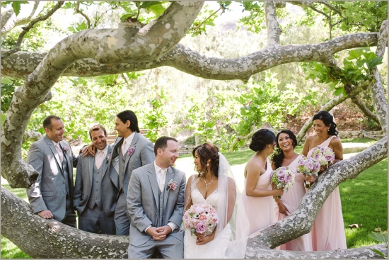 Wedding party poses happily under a tree in natural lighting
