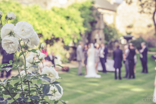White roses bloom during a wedding garden party with blurred background