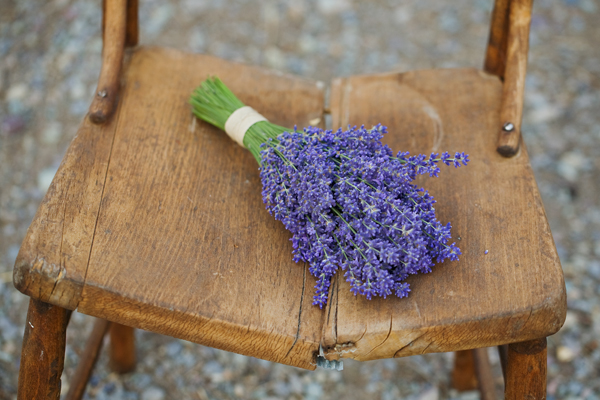 rustic-montana-destination-wedding
