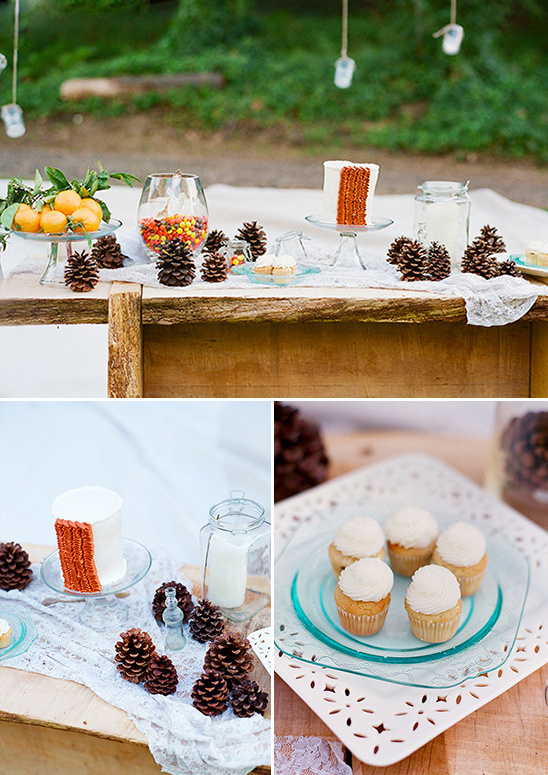 Rustic cake and cupcakes dessert table decorated with pinecones