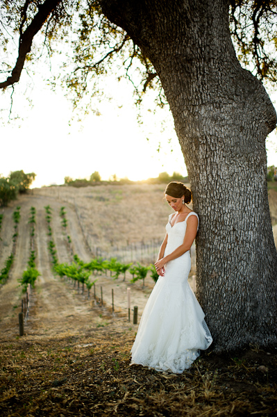vintage-vineyard-wedding-ideas