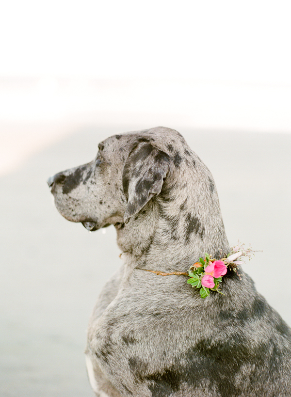 beachside-engagement-from-white-loft