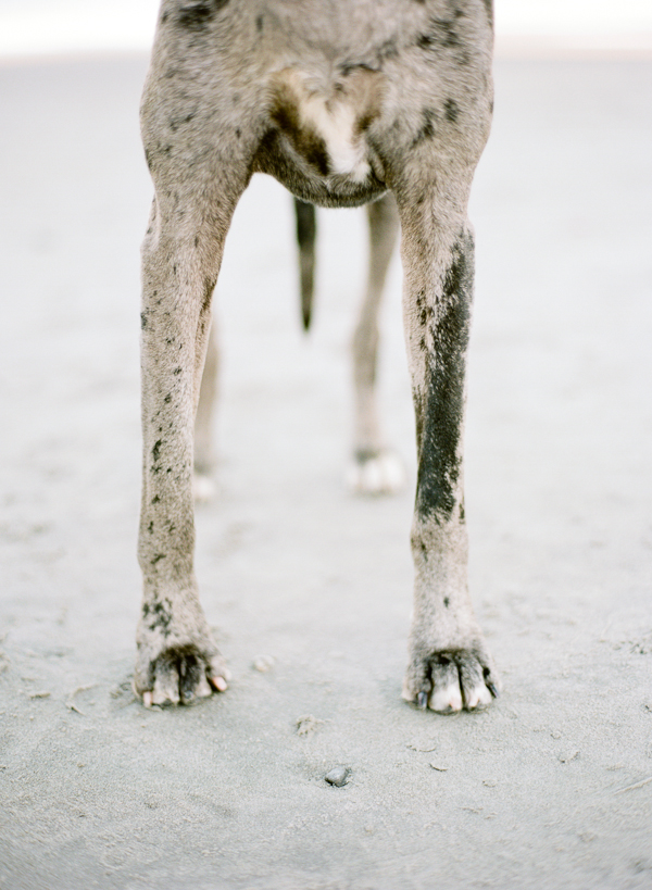 beachside-engagement-from-white-loft