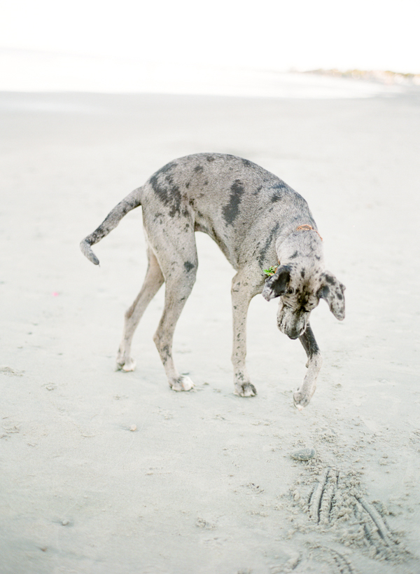 beachside-engagement-from-white-loft