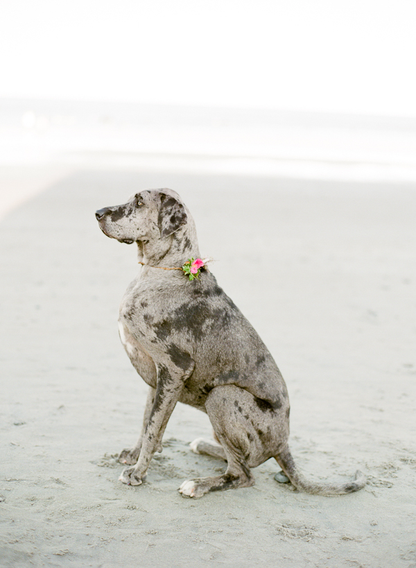 beachside-engagement-from-white-loft