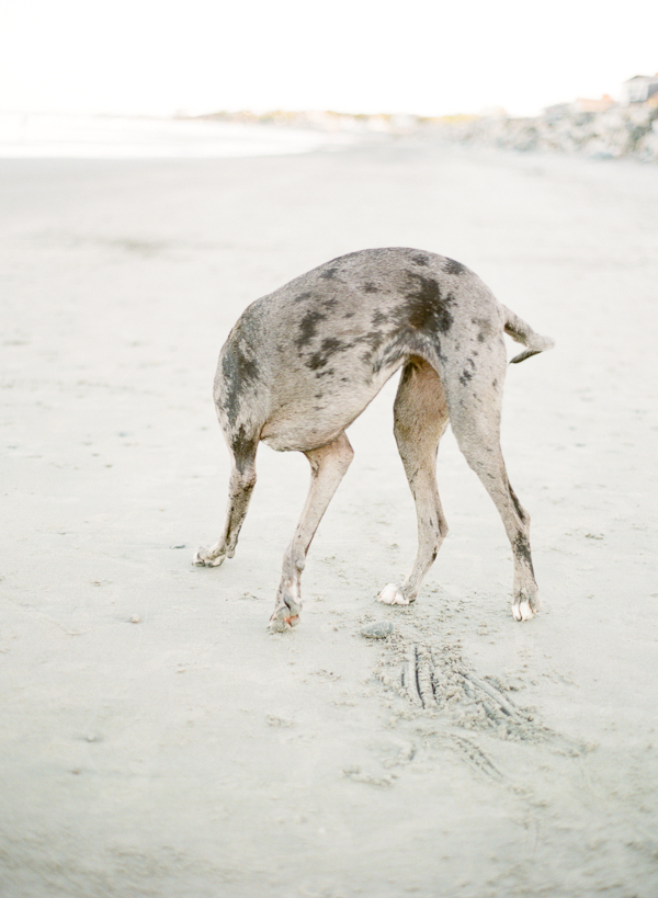 beachside-engagement-from-white-loft