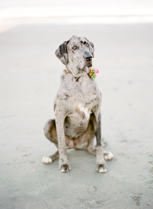 beachside-engagement-from-white-loft