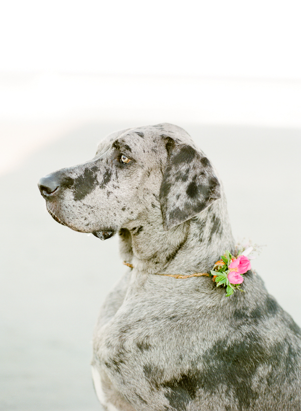 beachside-engagement-from-white-loft