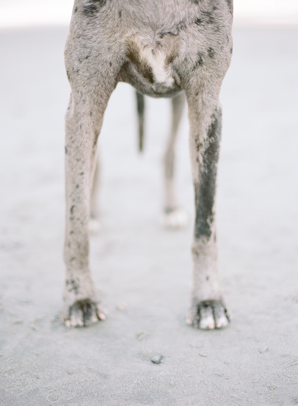 beachside-engagement-from-white-loft