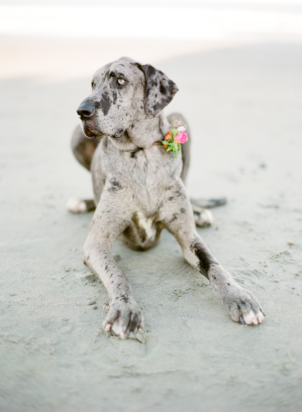 beachside-engagement-from-white-loft