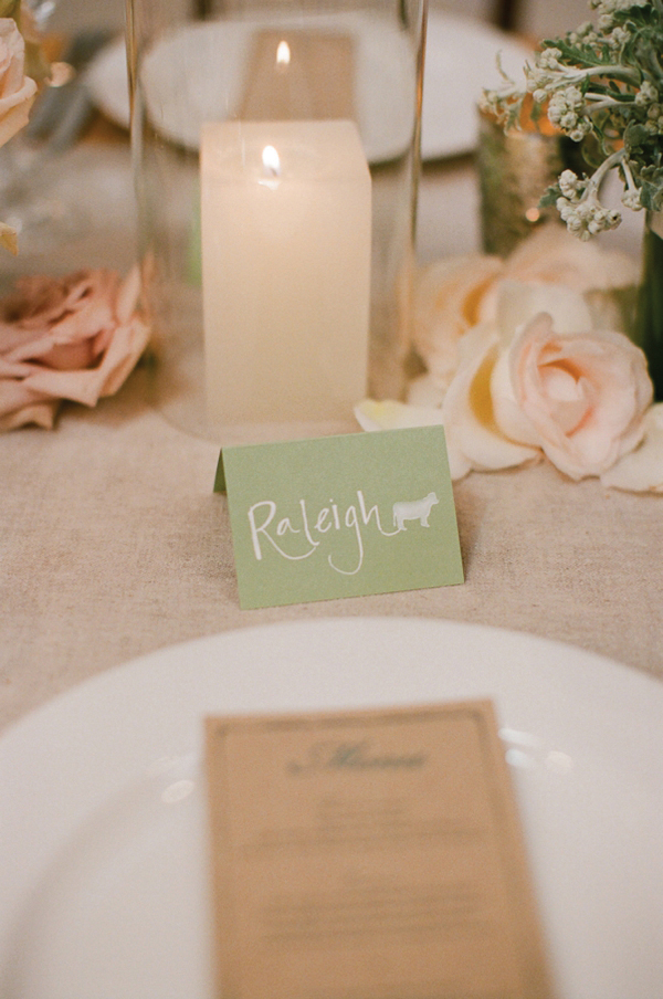 charlottesville-vineyard-wedding