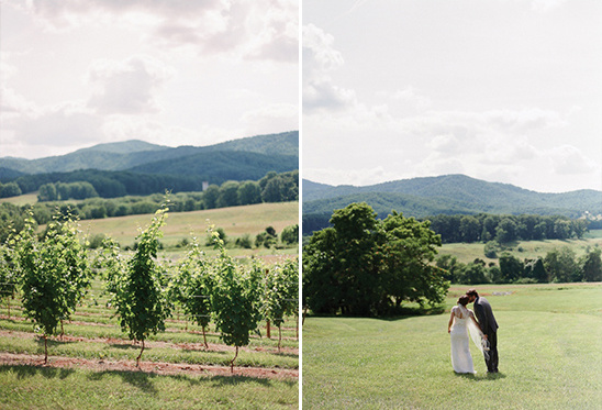 Charlottesville Vineyard Wedding