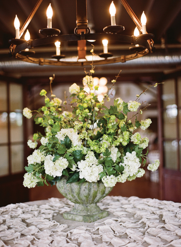 charlottesville-vineyard-wedding