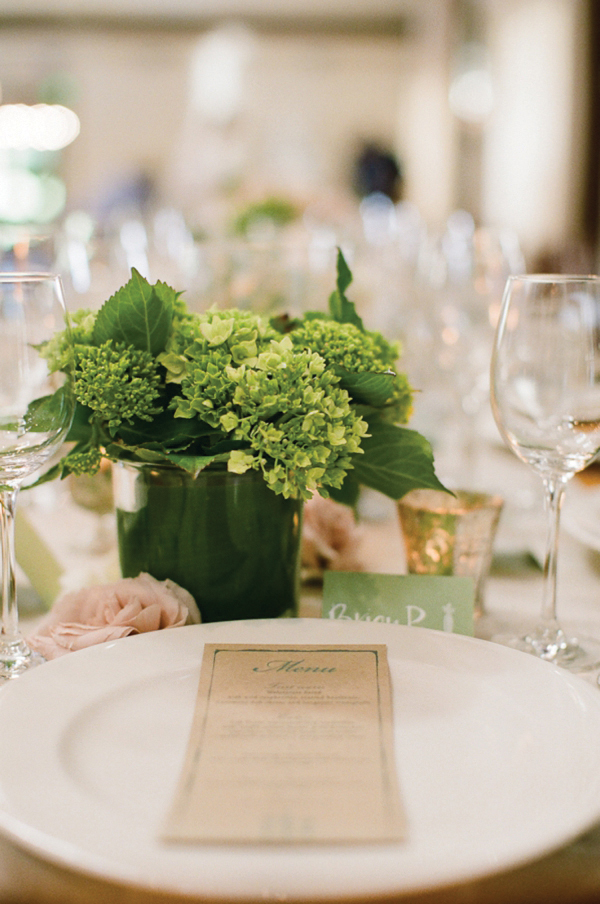 charlottesville-vineyard-wedding