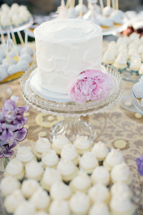 elegant-condors-nest-ranch-wedding