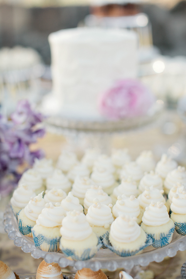 elegant-condors-nest-ranch-wedding