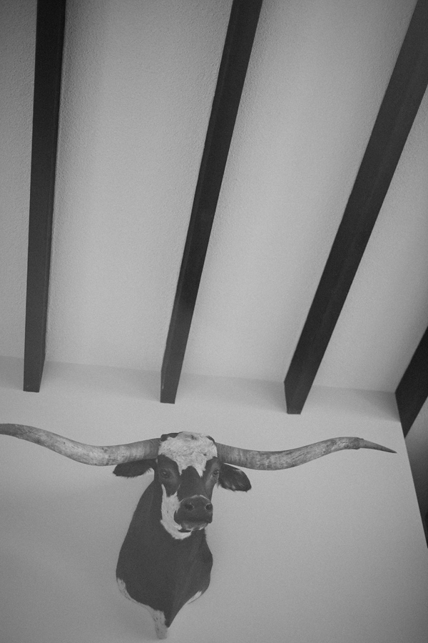 elegant-condors-nest-ranch-wedding