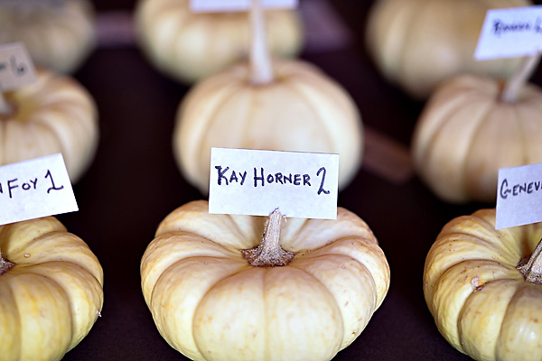 fall-themed-wedding-ideas